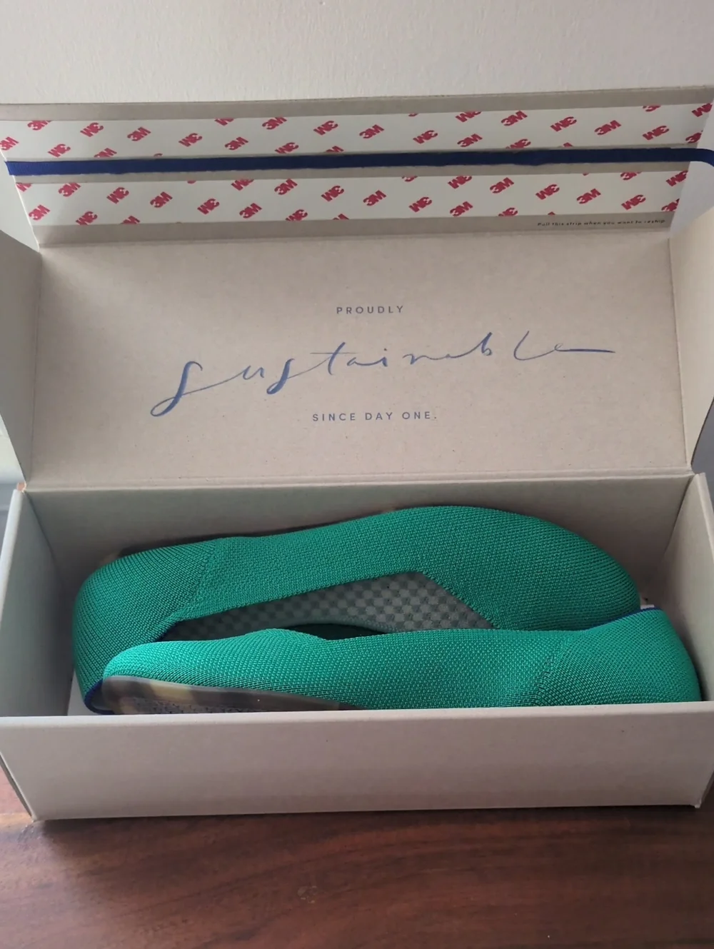 Rothys flat from